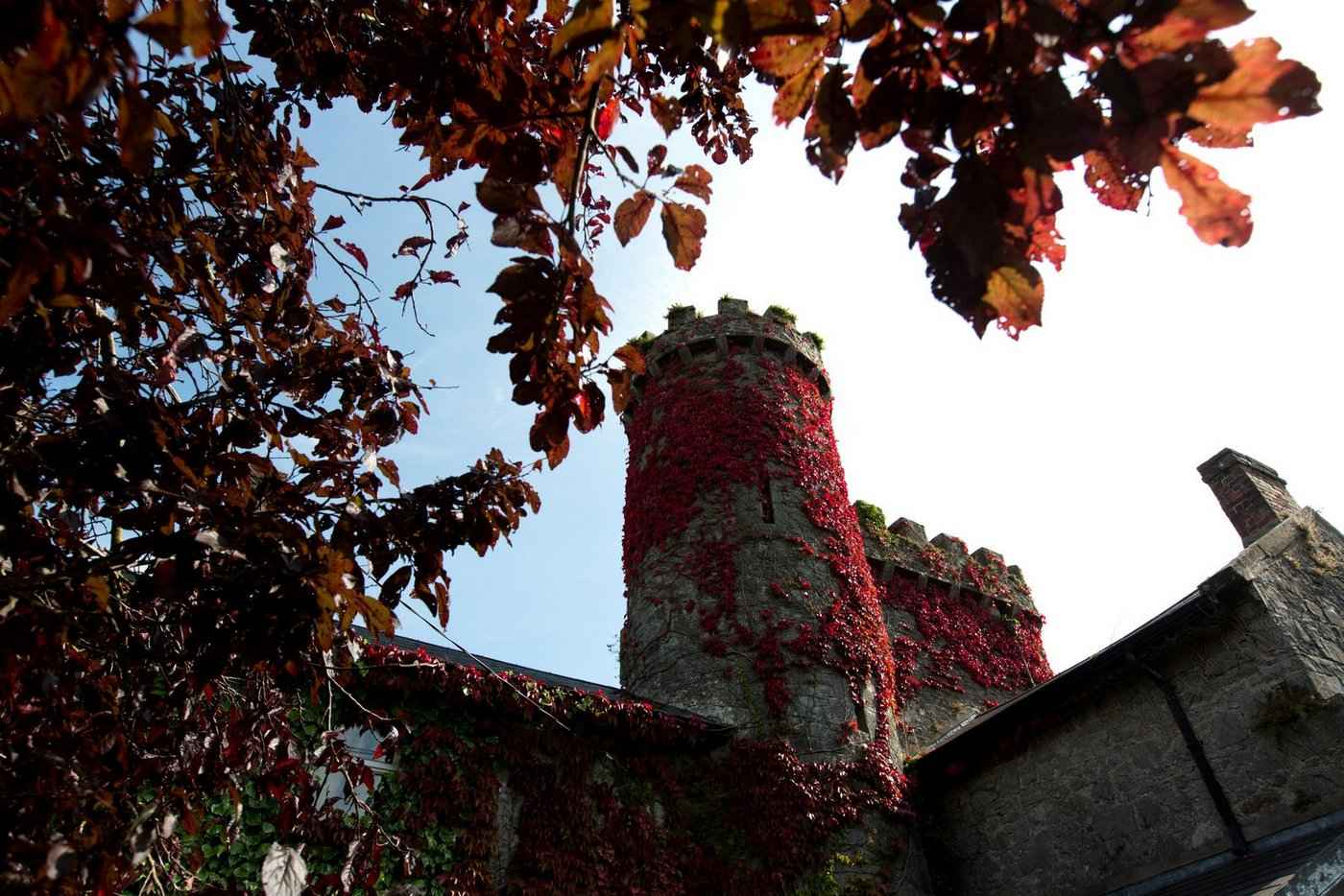 Fanningstown Castle Adare Co. Limerick