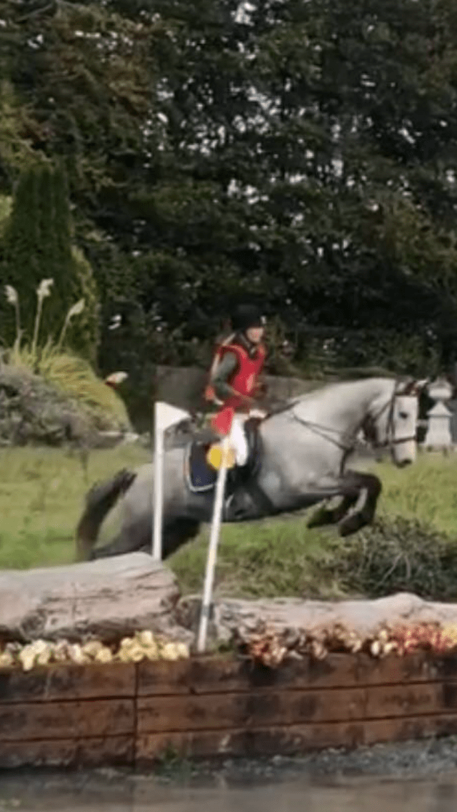 Caherconlish Equestrian “Boskill” Co. Limerick