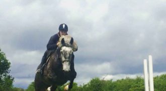 Caherconlish Equestrian “Boskill” Co. Limerick