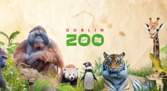 Dublin Zoo  Co. Dublin