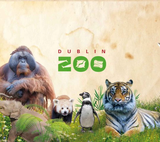 Dublin Zoo  Co. Dublin