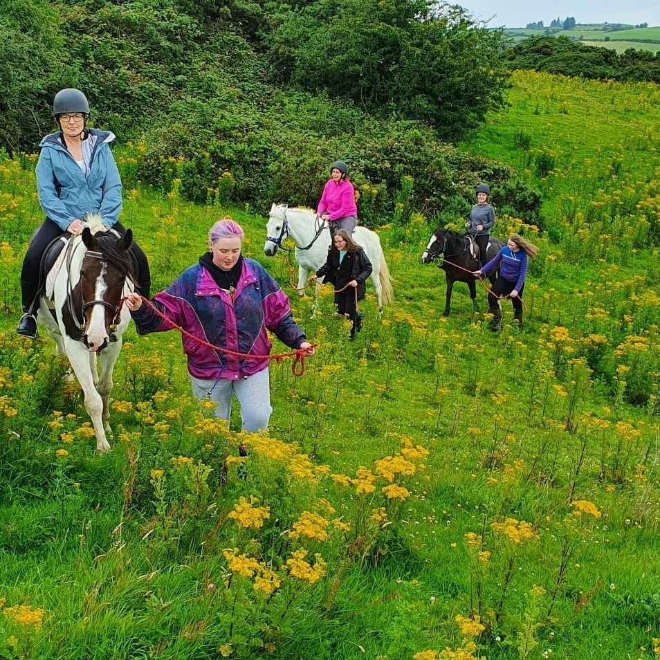 Horse Riding and Pony Trekking  Co. Tipperary.