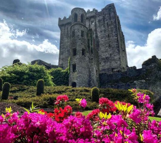 Blarney Castle and Gardens,  Blarney, Co. Cork
