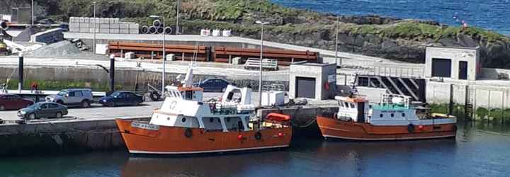 “Cape Clear Ferry Tours”.  Co. Cork