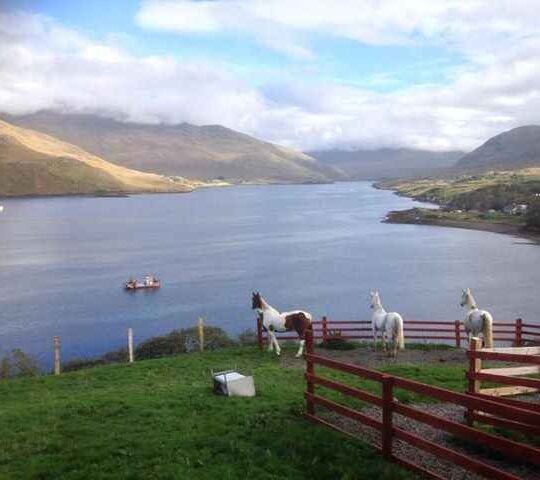 “Killary Sheep Farm”, Leenane, Co. Galway