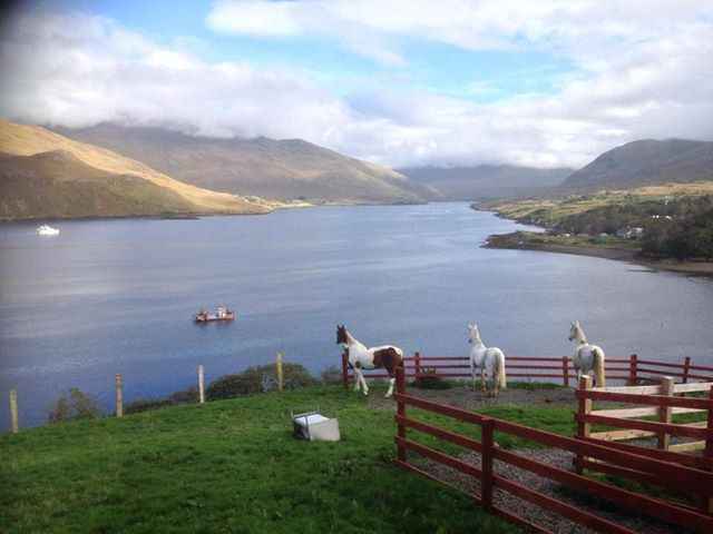 “Killary Sheep Farm”, Leenane, Co. Galway