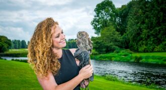 Falconery,  Adare Country Pursuits, Co. Limerick