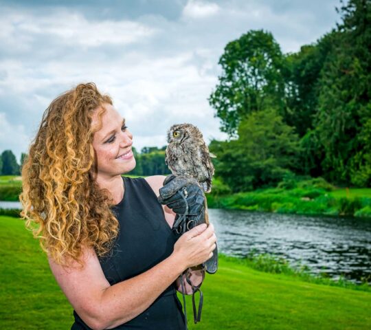 Falconery,  Adare Country Pursuits, Co. Limerick