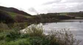Shepperton Trout Lake Fishery.  Co. Cork.