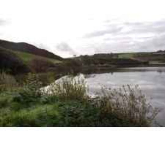 Shepperton Trout Lake Fishery.  Co. Cork.